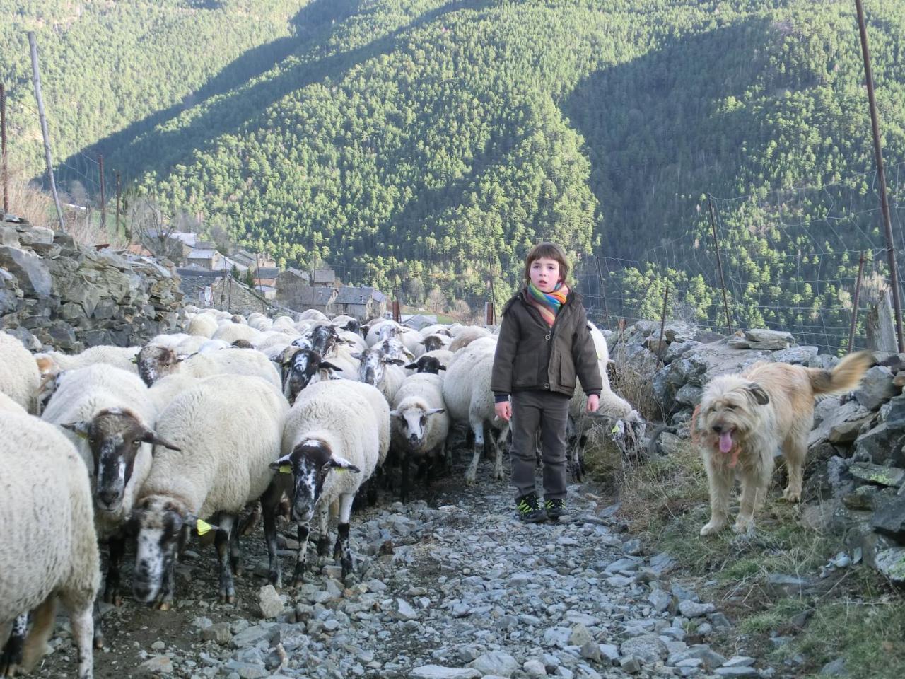 Allotjament Taga Ribes de Freser Kültér fotó