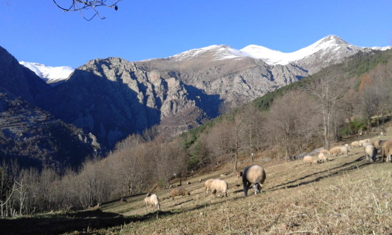 Allotjament Taga Ribes de Freser Kültér fotó